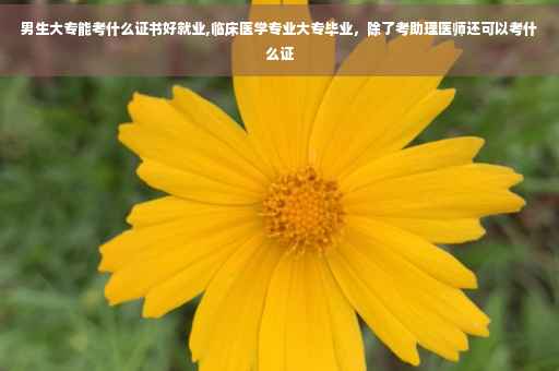 男生大专能考什么证书好就业,临床医学专业大专毕业，除了考助理医师还可以考什么证
