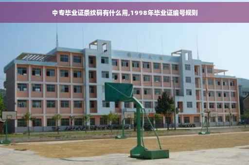 中专毕业证条纹码有什么用,1998年毕业证编号规则