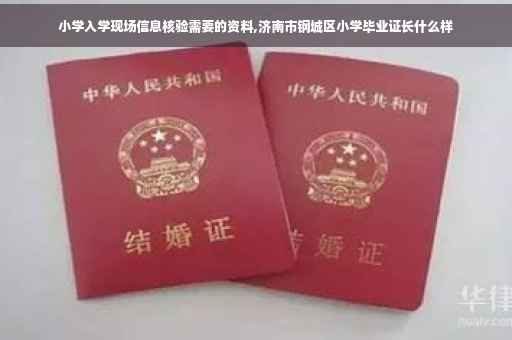 小学入学现场信息核验需要的资料,济南市钢城区小学毕业证长什么样