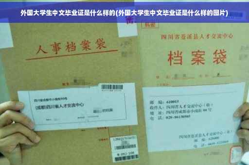 外国大学生中文毕业证是什么样的(外国大学生中文毕业证是什么样的图片)