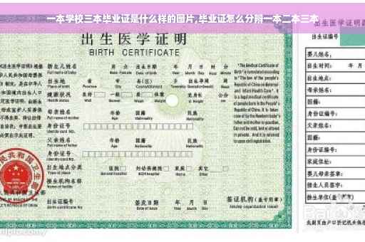 一本学校三本毕业证是什么样的图片,毕业证怎么分辨一本二本三本