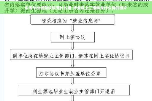 中专毕业证条纹码有什么用-毕业证上二维码是什么样的图片