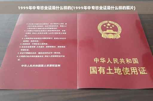 1999年中专毕业证是什么样的(1999年中专毕业证是什么样的照片)