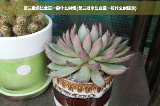第三批拿毕业证一般什么时候(第三批拿毕业证一般什么时候拿)