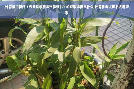 计算机工程师（专业技术职务资格证书）的获取途径是什么,计算机考试证书去哪领取
