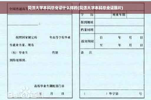 同济大学本科毕业证什么样的(同济大学本科毕业证图片)