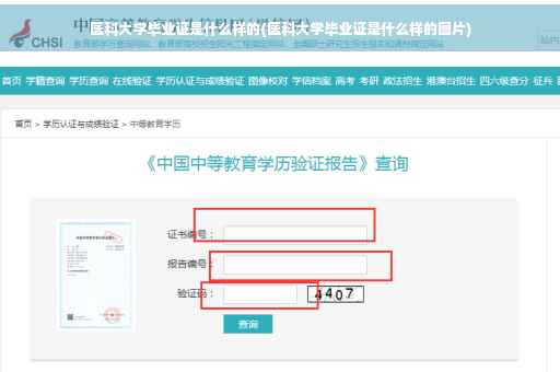 医科大学毕业证是什么样的(医科大学毕业证是什么样的图片)