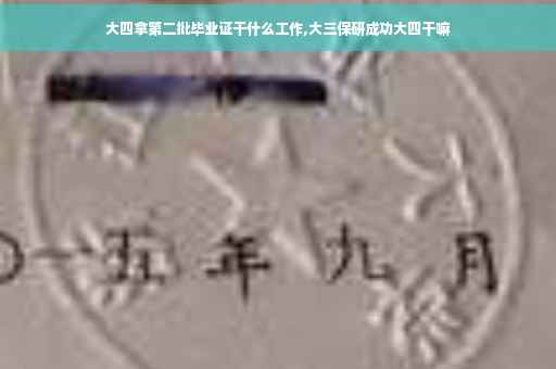 大四拿第二批毕业证干什么工作,大三保研成功大四干嘛