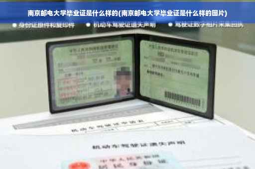 南京邮电大学毕业证是什么样的(南京邮电大学毕业证是什么样的图片)