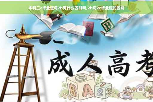 本科二c毕业证与2b有什么区别吗,2b与2c毕业证的区别