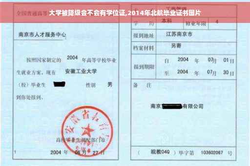 大学被降级会不会有学位证,2014年北航毕业证书图片