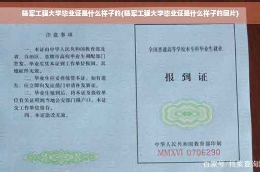 陆军工程大学毕业证是什么样子的(陆军工程大学毕业证是什么样子的图片)