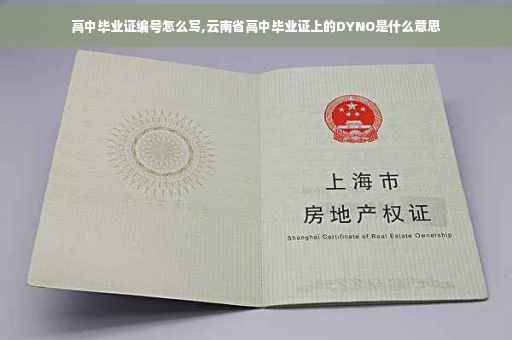 高中毕业证编号怎么写,云南省高中毕业证上的DYNO是什么意思