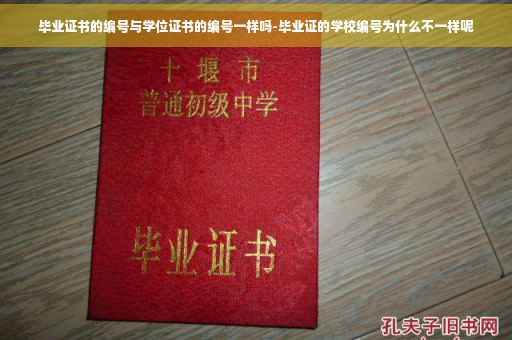 毕业证书的编号与学位证书的编号一样吗-毕业证的学校编号为什么不一样呢