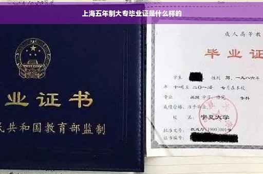 上海五年制大专毕业证是什么样的