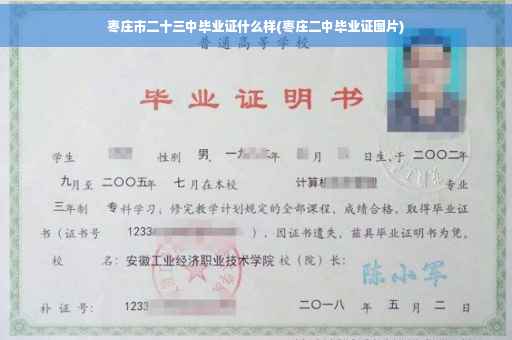 枣庄市二十三中毕业证什么样(枣庄二中毕业证图片)