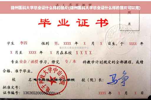 锦州医科大学毕业证什么样的图片(锦州医科大学毕业证什么样的图片可以用)