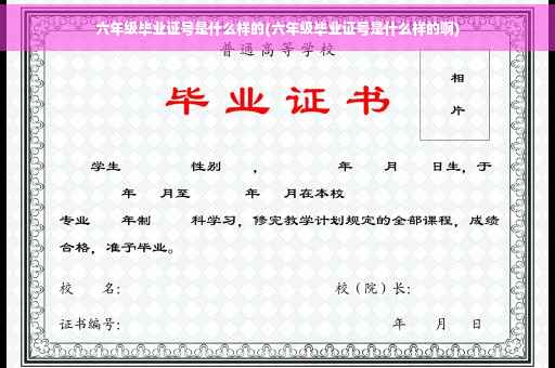 六年级毕业证号是什么样的(六年级毕业证号是什么样的啊)