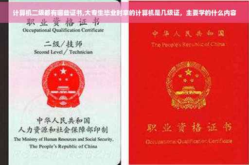 计算机二级都有哪些证书,大专生毕业时拿的计算机是几级证，主要学的什么内容
