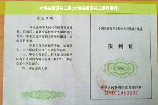 大专技能证书三级(大专技能证书三级有用吗) 大专技能证书三级(大专技能证书三级有用吗)