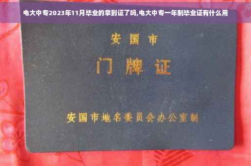 电大中专2023年11月毕业的拿到证了吗,电大中专一年制毕业证有什么用