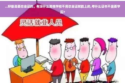...好像是要毕业证的。有没什么其他学校不用毕业证就能上的,考什么证书不需要学历?