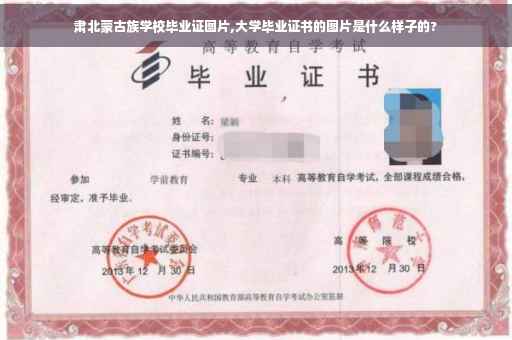 肃北蒙古族学校毕业证图片,大学毕业证书的图片是什么样子的?