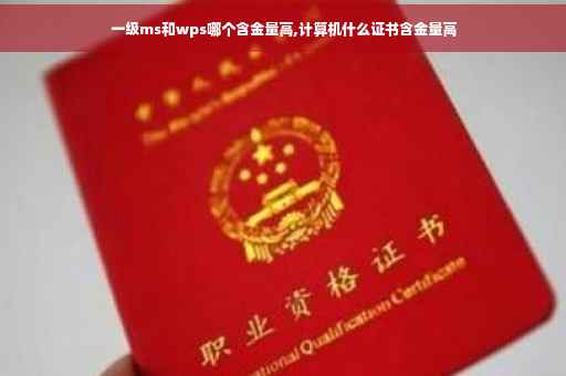 一级ms和wps哪个含金量高,计算机什么证书含金量高
