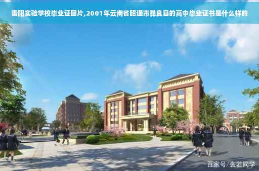 雷阳实验学校毕业证图片,2001年云南省昭通市彝良县的高中毕业证书是什么样的