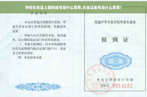 学校毕业证上面的编号是什么意思,毕业证编号是什么意思?
