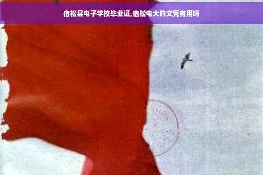 宿松县电子学校毕业证,宿松电大的文凭有用吗