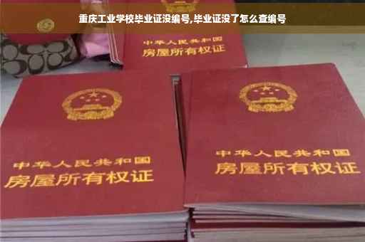 重庆工业学校毕业证没编号,毕业证没了怎么查编号