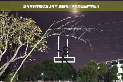 统招专科学校毕业证样本,统招专科学校毕业证样本图片