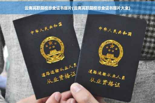 云南高职院校毕业证书图片(云南高职院校毕业证书图片大全)