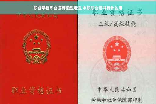 职业学校毕业证有哪些用途,中职毕业证书有什么用
