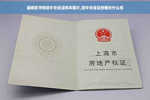 灞桥区学校初中毕业证样本图片,初中毕业证存根长什么样