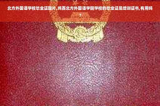 北方外国语学校毕业证图片,鸡西北方外国语学院学校的毕业证是培训证书,有用吗?