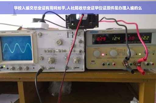 学校入编交毕业证有用吗知乎,人社局收毕业证学位证原件是办理入编的么