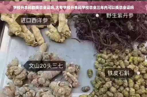 学校升本科能换毕业证吗,大专学校升本科学校毕业三年内可以换毕业证吗