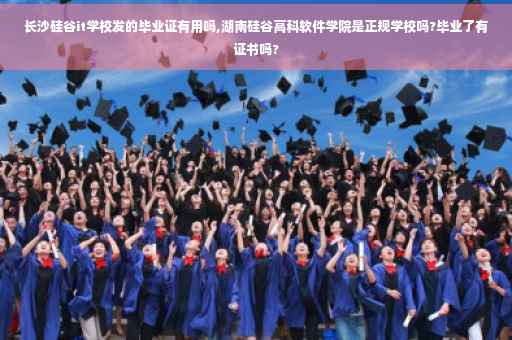 长沙硅谷it学校发的毕业证有用吗,湖南硅谷高科软件学院是正规学校吗?毕业了有证书吗?