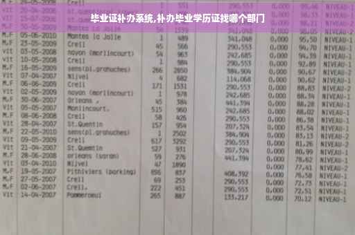 毕业证补办系统,补办毕业学历证找哪个部门