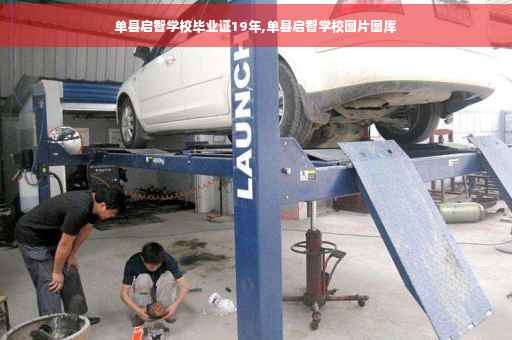 单县启智学校毕业证19年,单县启智学校图片图库