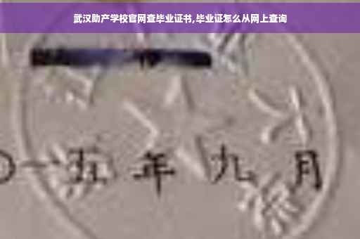 武汉助产学校官网查毕业证书,毕业证怎么从网上查询
