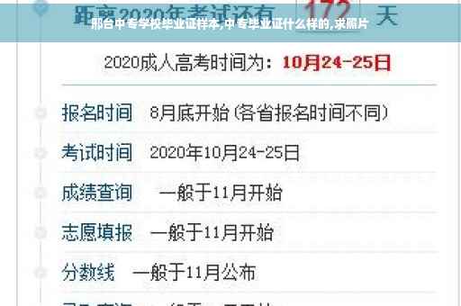 邢台中专学校毕业证样本,中专毕业证什么样的,求照片