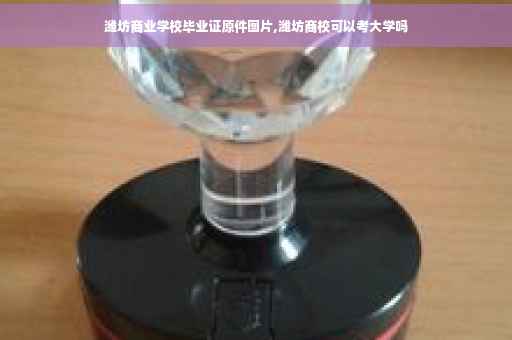 潍坊商业学校毕业证原件图片,潍坊商校可以考大学吗