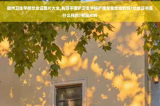赣州卫生学校毕业证图片大全,有四平医护卫生学校护理专业毕业的吗?毕业证书是什么样的?有图片吗
