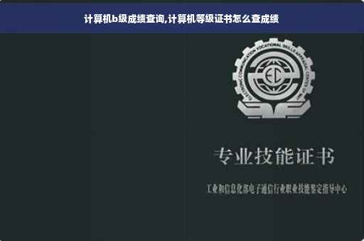 计算机b级成绩查询,计算机等级证书怎么查成绩