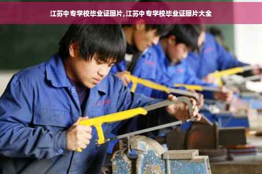江苏中专学校毕业证图片,江苏中专学校毕业证图片大全