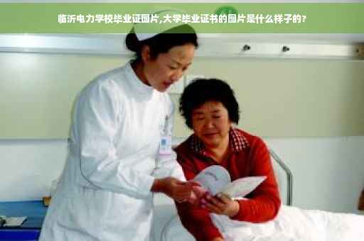 临沂电力学校毕业证图片,大学毕业证书的图片是什么样子的?
