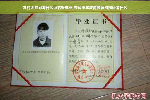 农村大专可考什么证书好就业,专科小学教育教师资格证考什么